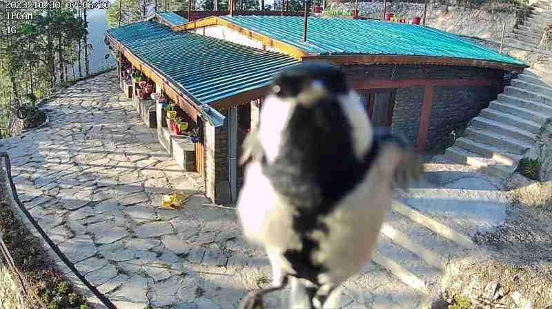 Nature Villaas Basa Homestay Pauri Екстер'єр фото